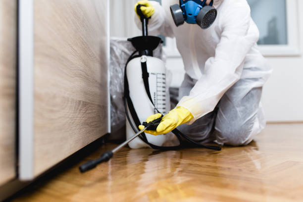 Best Bed Bug Extermination  in Franklin Rk, PA