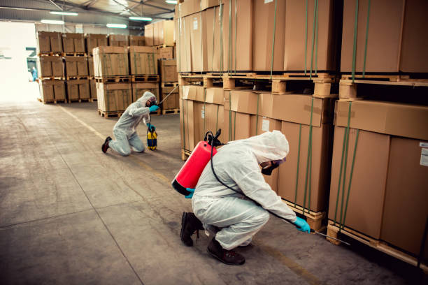 Reliable Franklin Park, PA Pest Control Solutions