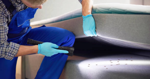 Best Bed Bug Extermination  in Franklin Rk, PA