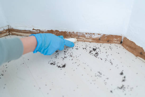 Best Affordable Pest Control Services  in Franklin Rk, PA